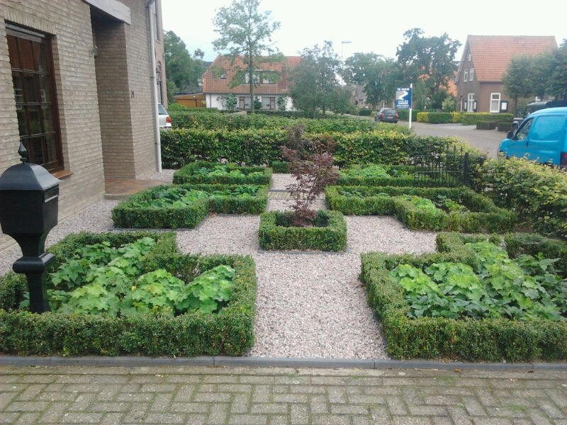 Verzorgde voortuin met buxushagen en grindpaden